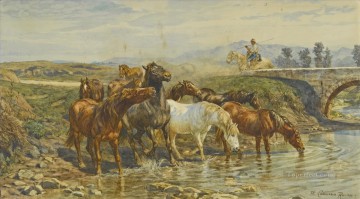 Horse Painting - Horses drinking at a stream Enrico Coleman genre